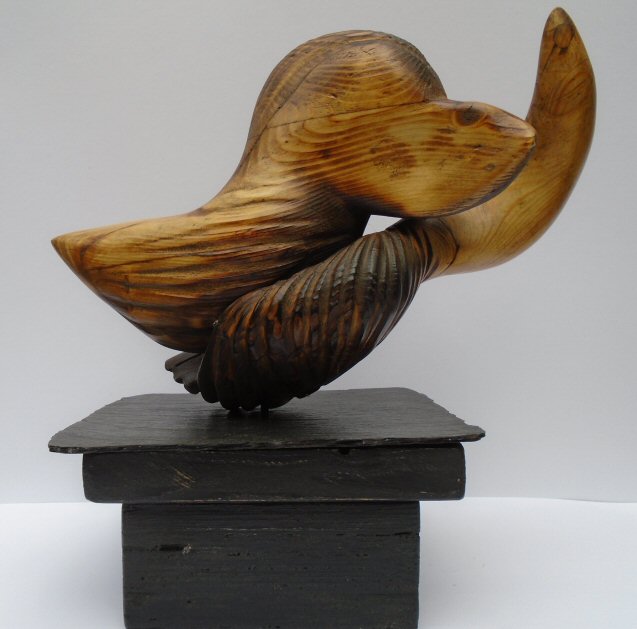 When the sea meets the land