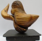 When the sea meets the land Photo 2