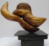 When the sea meets the land Photo 3