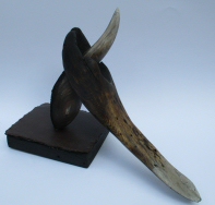 Poems about the sea # 1 Photo 2